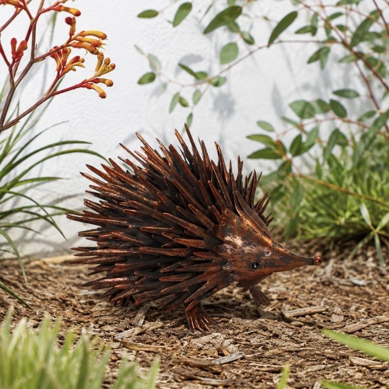 SMALL ECHIDNA