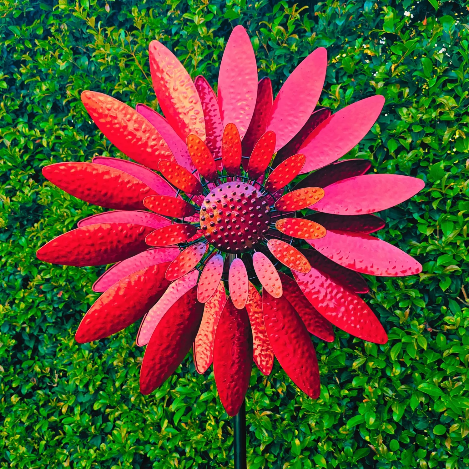 CRIMSON BLOOM WINDSPINNER