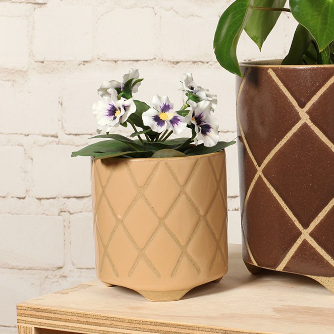 TAN TICTACTOE POT XS