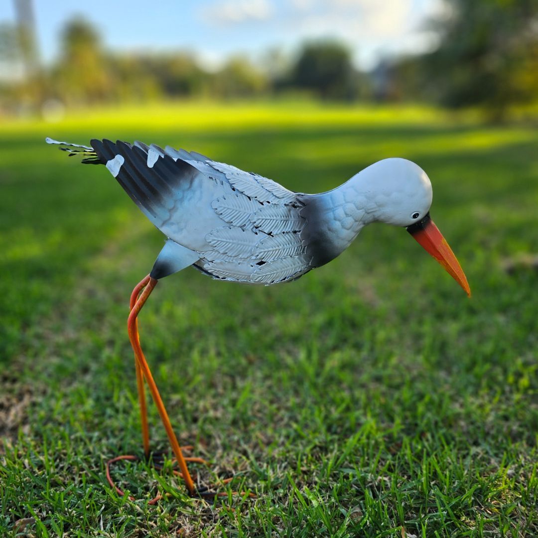 SEAGULL