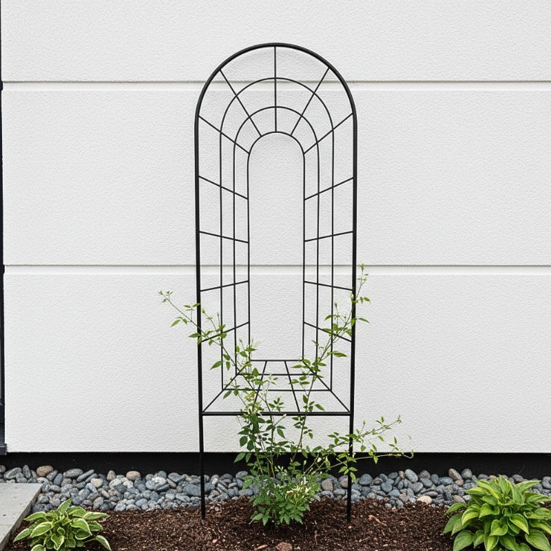 WINDOW TRELLIS