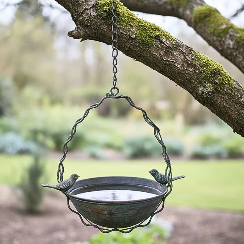 BIRD FEEDER
