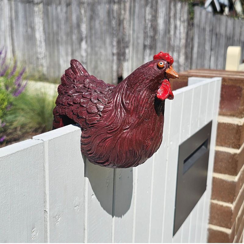 FENCE HEN BROWN
