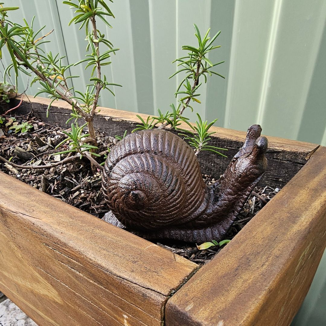 SNAIL - 7.5cm