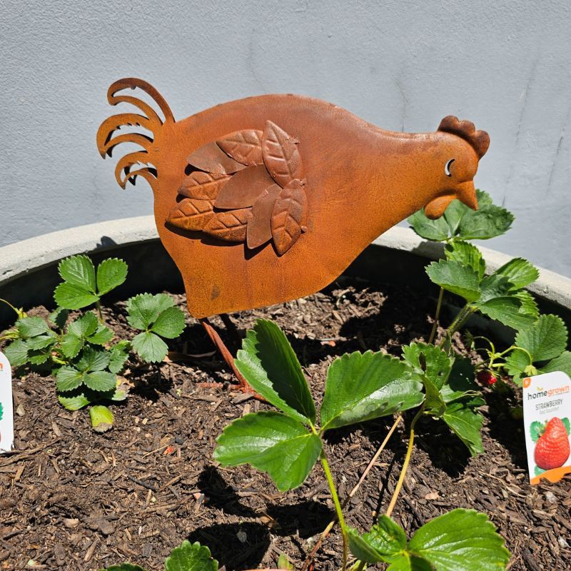 RUST PECKING HEN