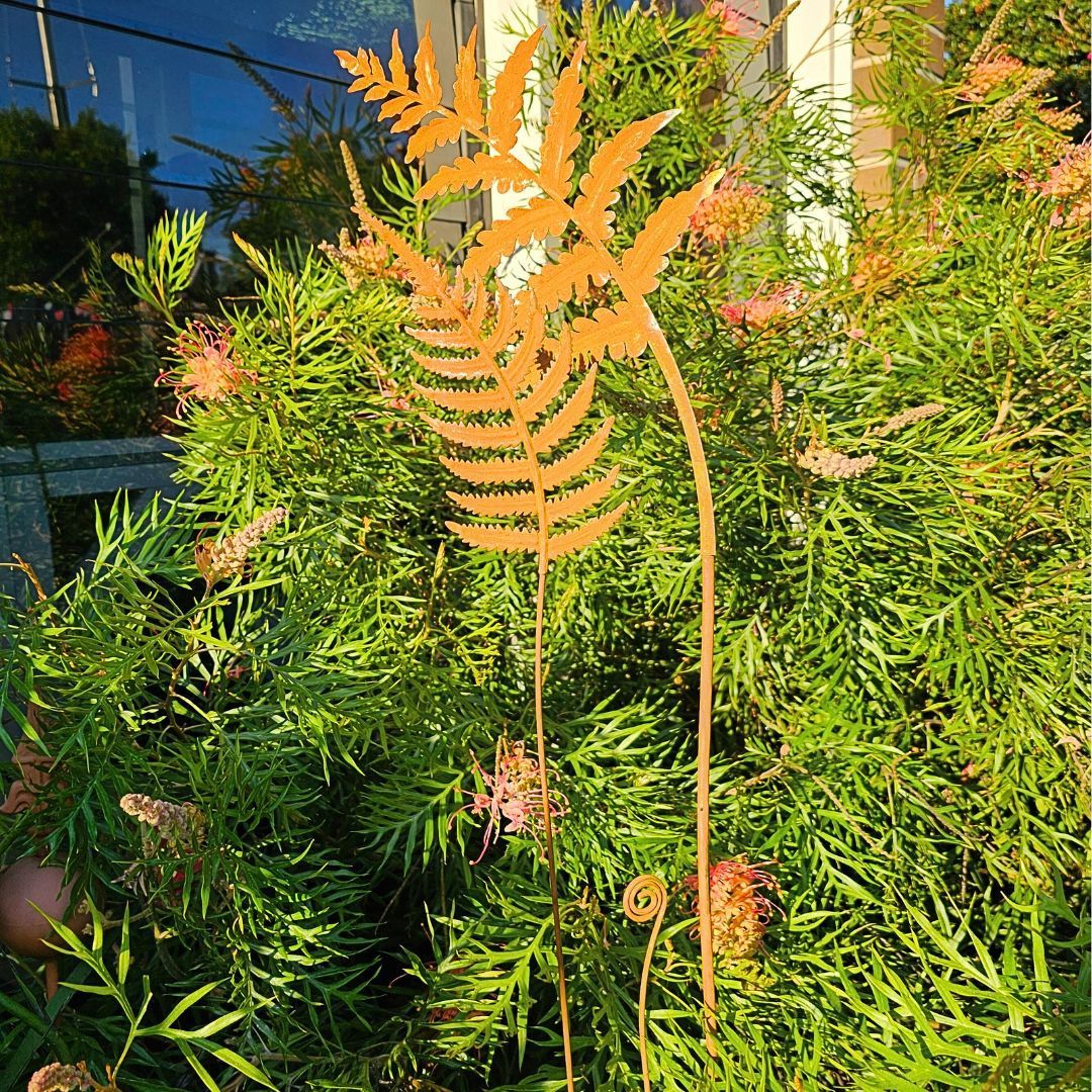 FERN STAKES LARGE