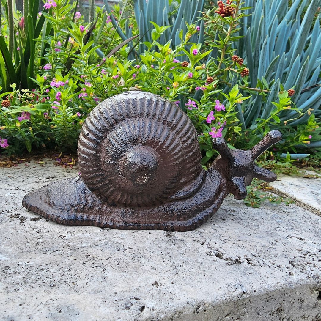 SNAIL - 7cm