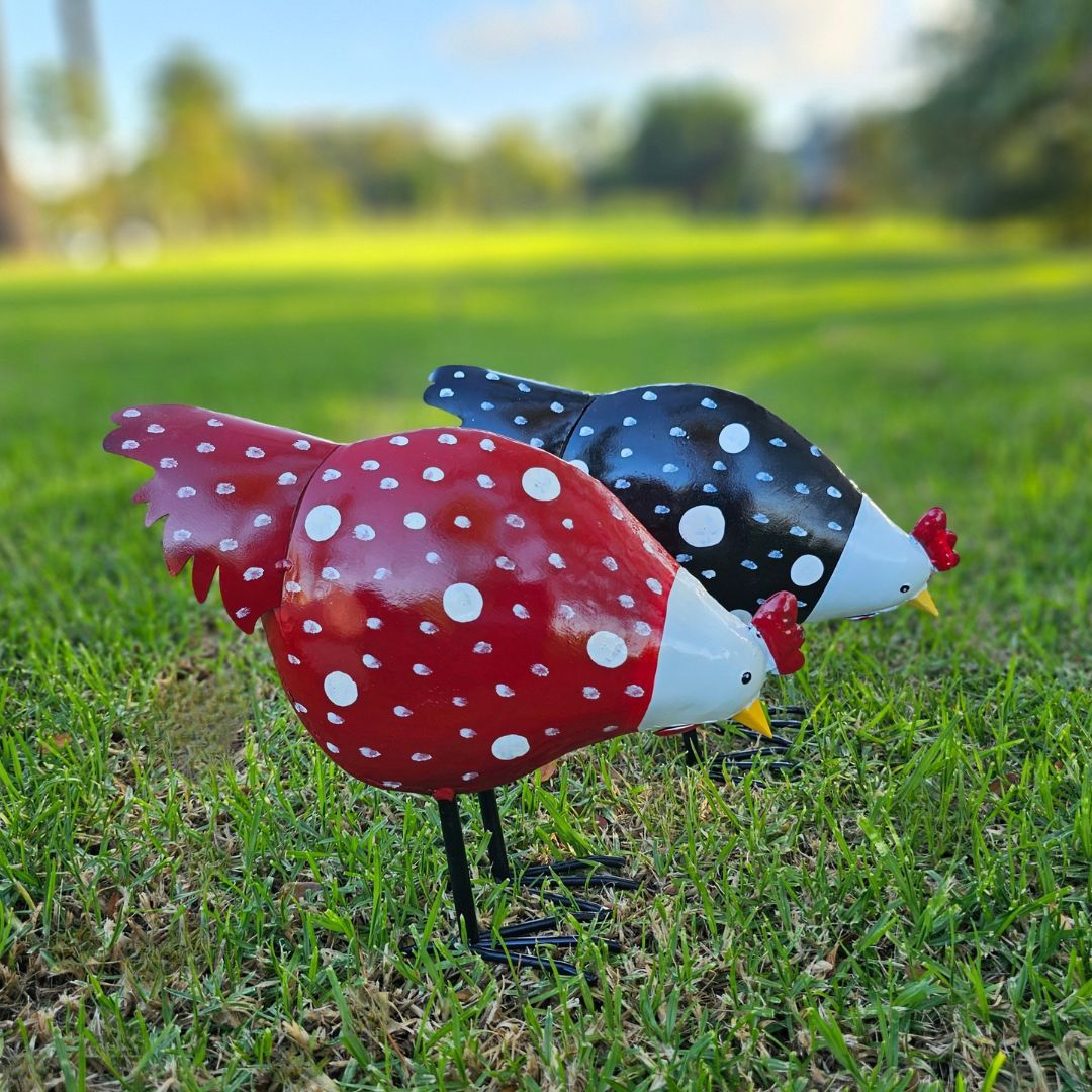 PECKING HEN ASS RED/BLACK
