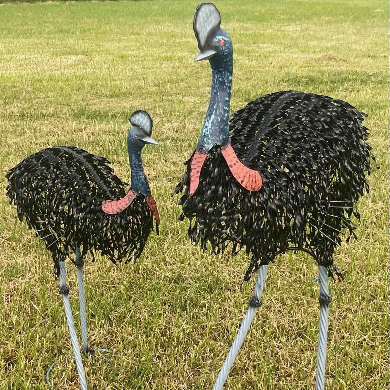 CASSOWARY SET OF 2