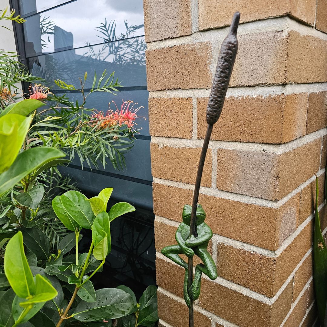 FROG ON REED