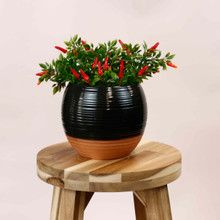 BLACK/TERRACOTTA RIDGED POT - SS1049B