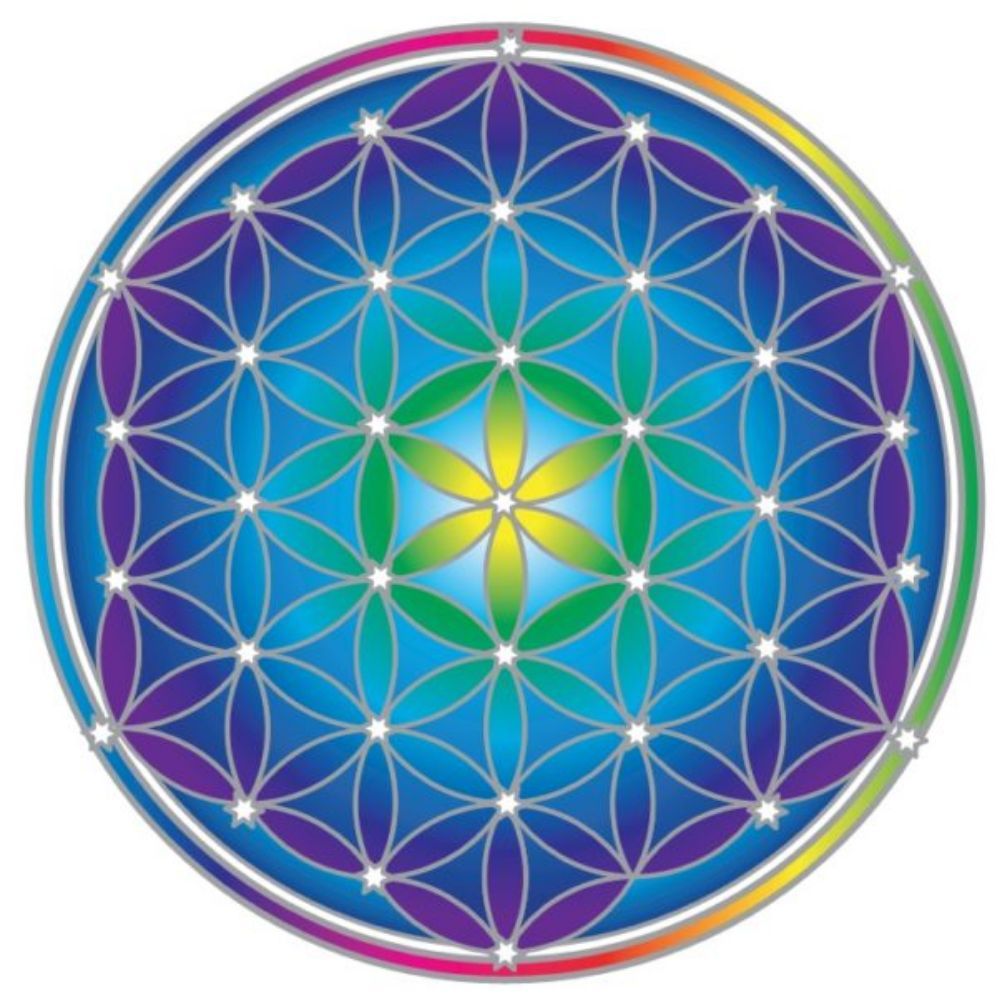 Sunseal Flower of Life 14cm Window Sticker