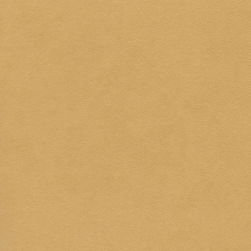 Alcantara Outdoor 13505 Beige