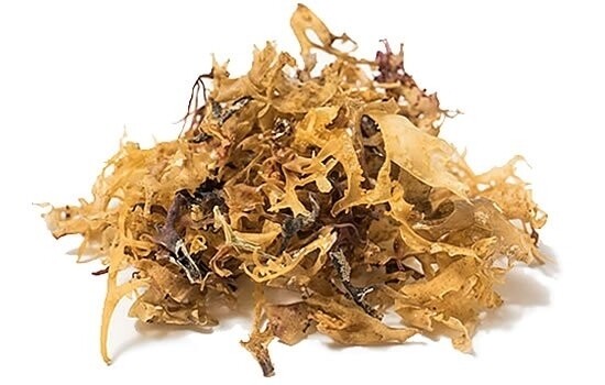 Irish Moss 10g
