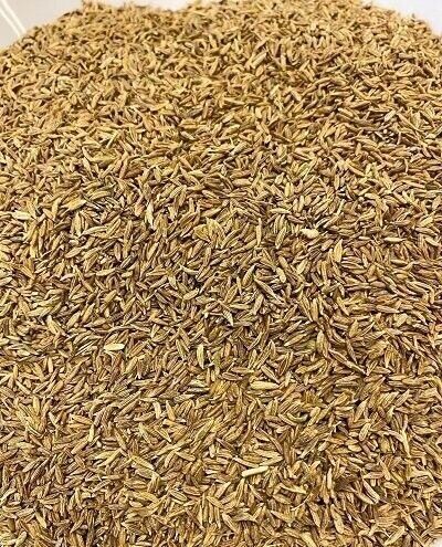 Cumin seeds