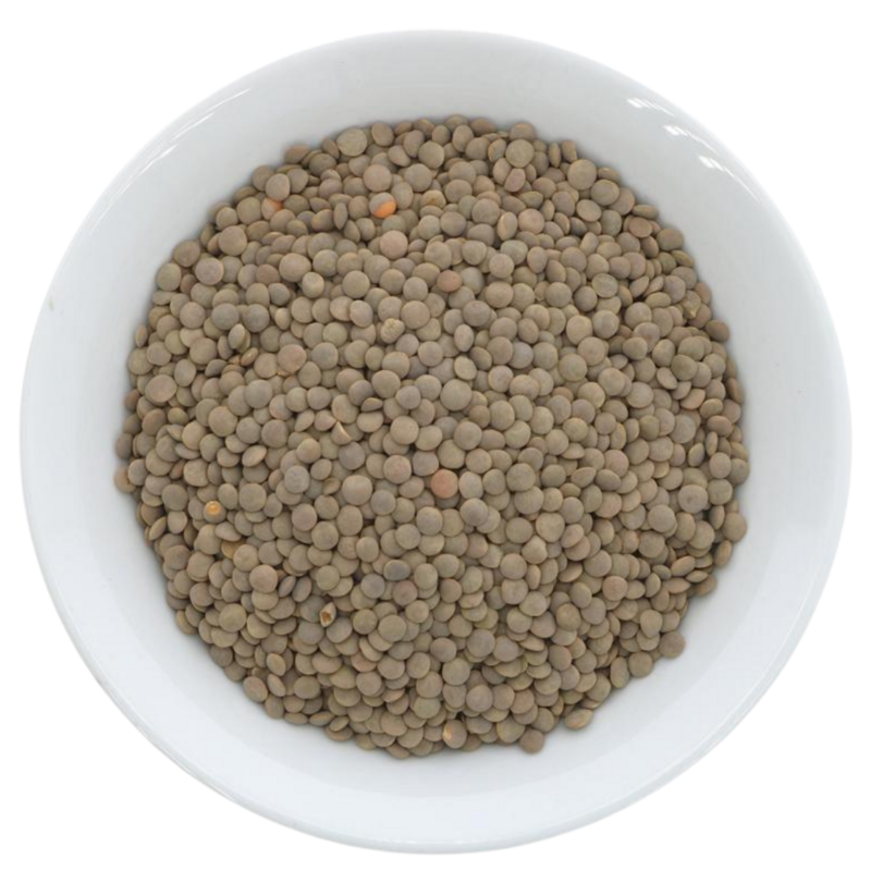 Brown Lentils