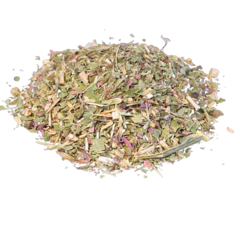 Echinacea leaves and flowers