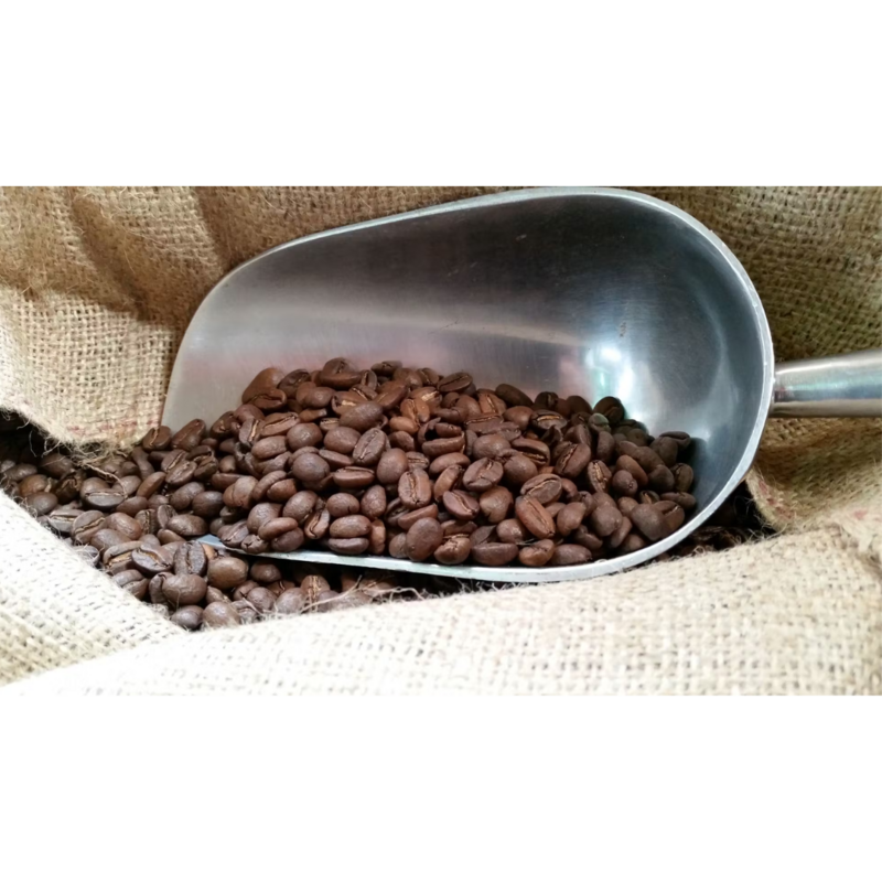 Globe Trotter Coffee Beans