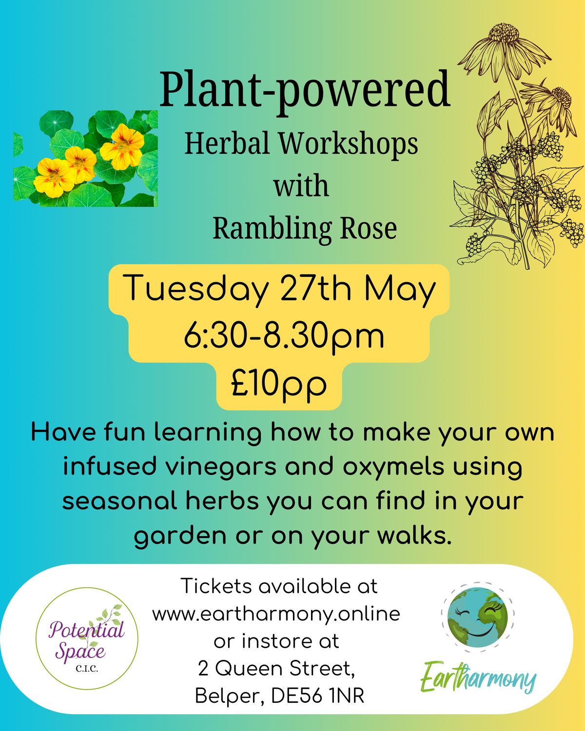 Rambling Rose 27th May