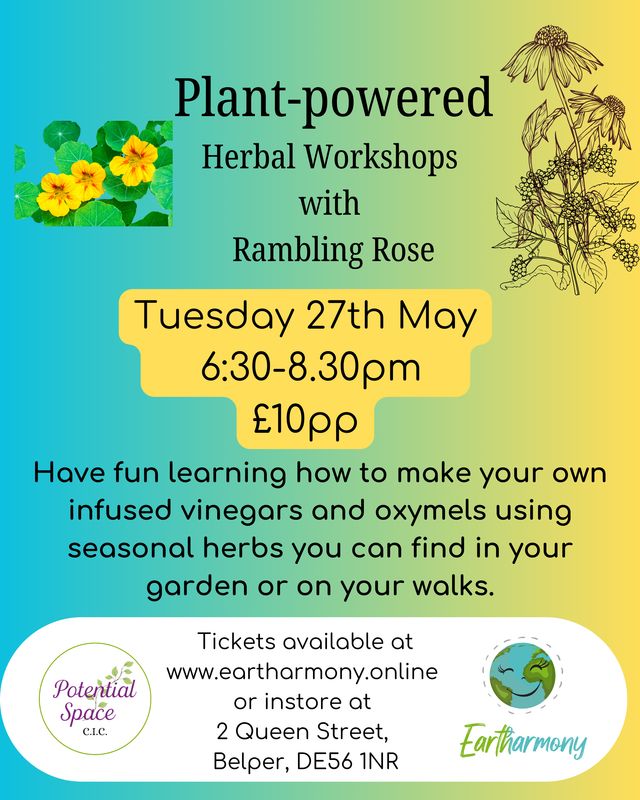 Rambling Rose 27th May
