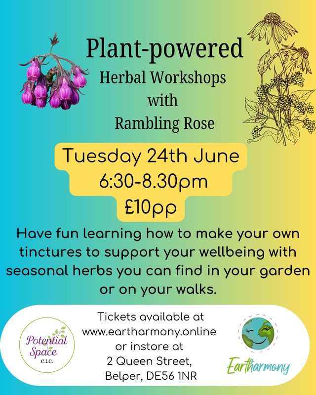 Rambling Rose 24th June