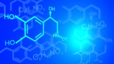 Aroma Chemicals