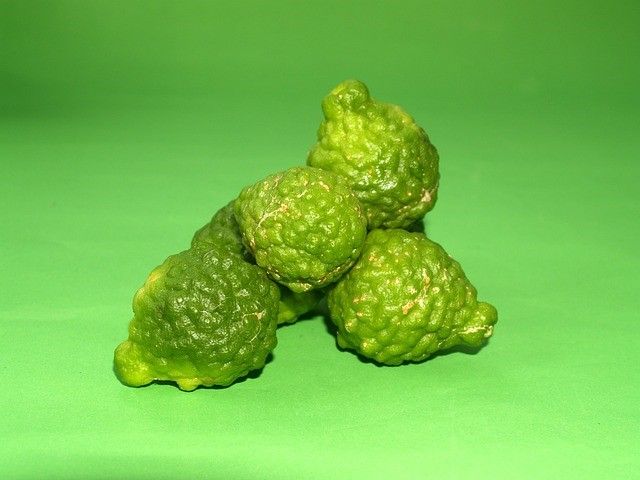 Bergamote – Firmenich