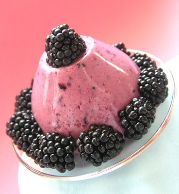 Blackberry Musk Accord
