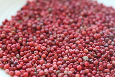 Pink Peppercorn Essential Oil - Albert Vieille (Peru)