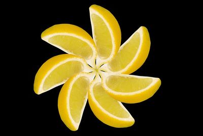 Juicy Citrus Accord