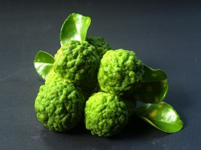 Bergamot Essential Oil (bergapten free) - ITALY