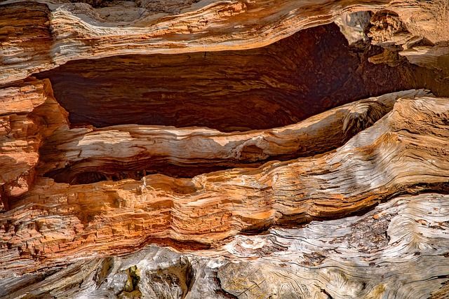 Cedarwood Virginia Essential Oil - USA