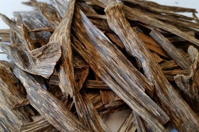 Agarwood Artessence - Biolandes (RCO) France