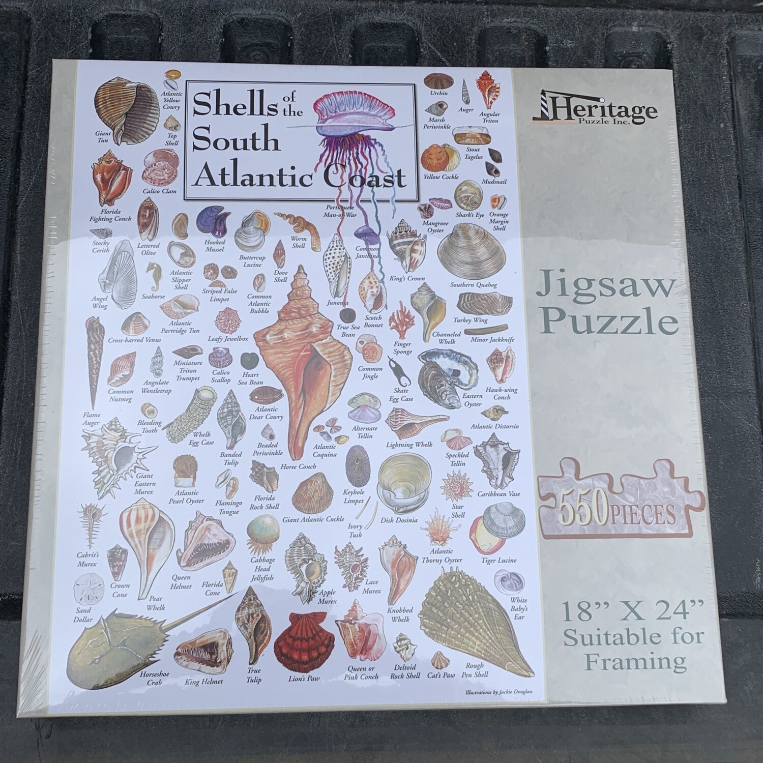 SHELLS OF THE SOUTH ATLANTIC PUZZLE 550PCS