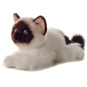 FLOPSIE BELLA (CAT)