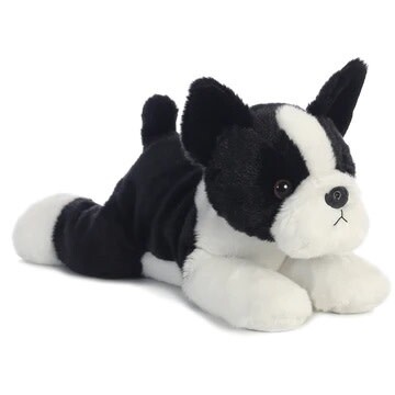 FLOPSIE BOSTON TERRIER (DOG)