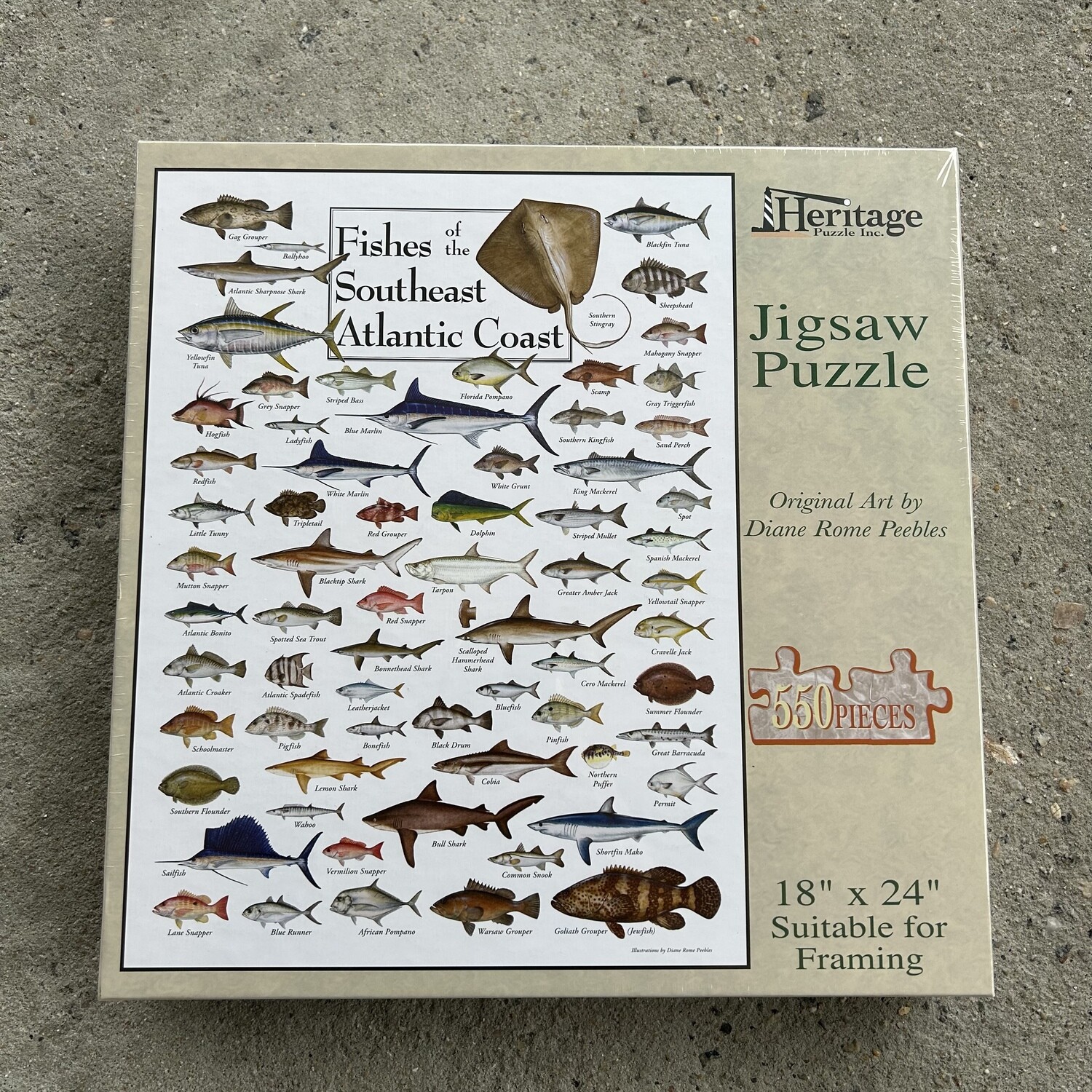 FISH OF SOUTHEAST ATLANTIC PUZZLE 550PCS