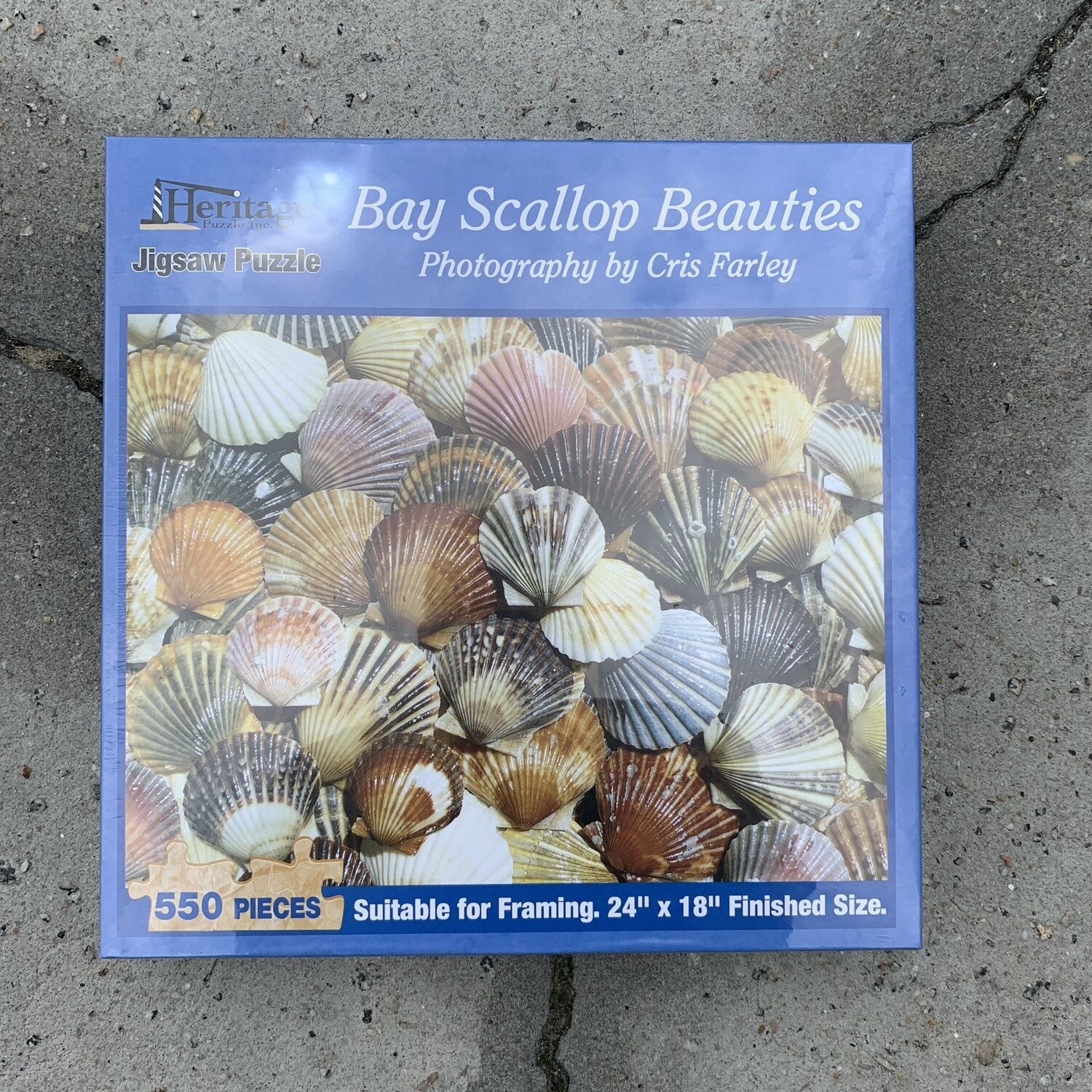 BAY SCALLOP BEAUTIES PUZZLE 550PCS