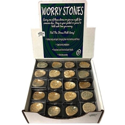 BOXED FOSSIL WORRY STONE