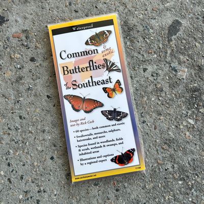 FOLDING GUIDE COMMON BUTTERFLIES