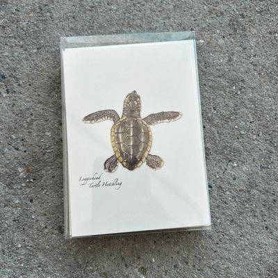 NOTECARD SET SEA TURTLE HATCHLING