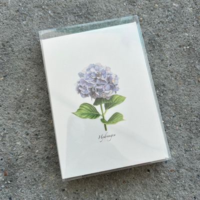 NOTECARD SET HYDRANGEA