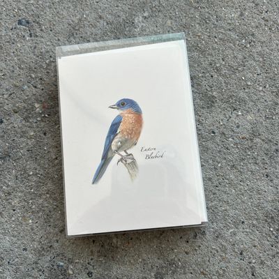 NOTECARD SET BLUEBIRD 2