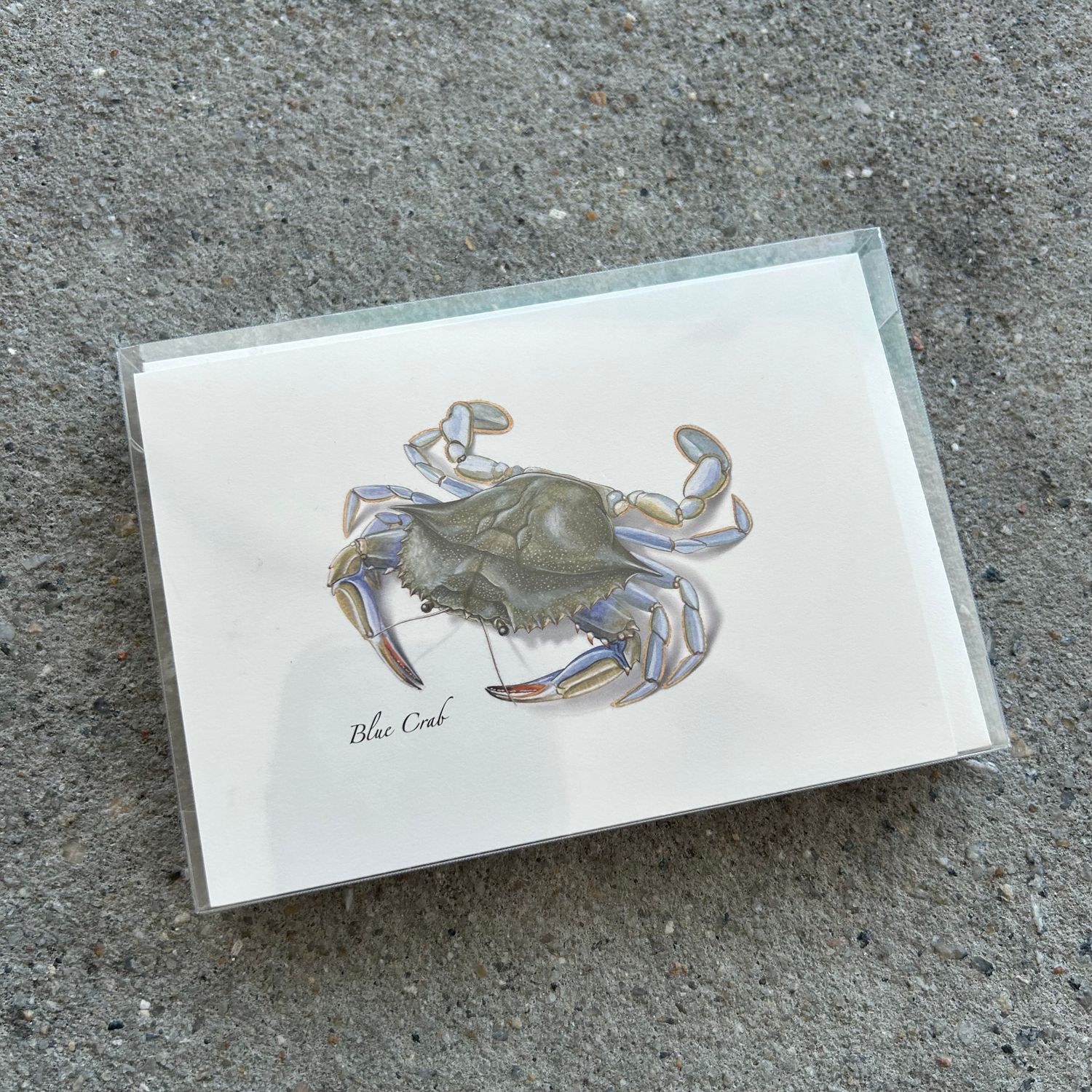 NOTECARD SET CRAB