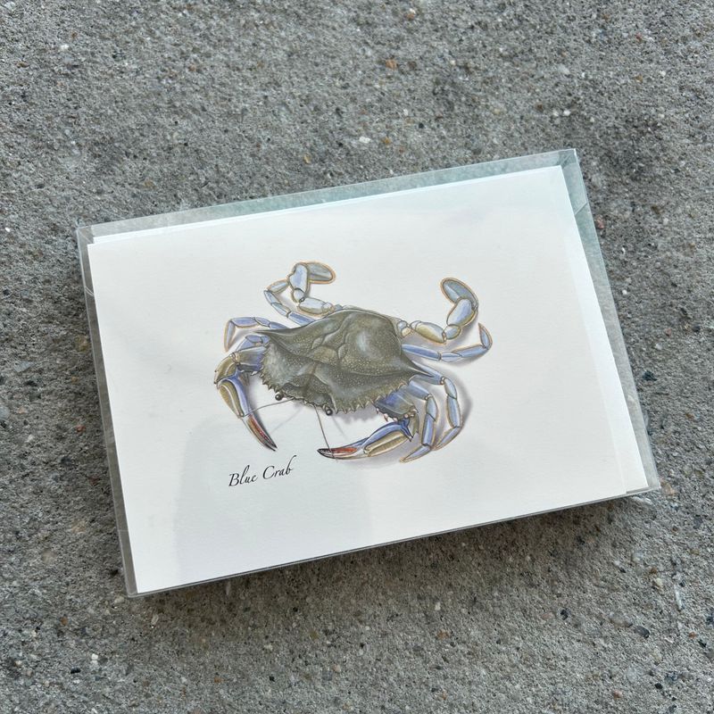 NOTECARD SET CRAB