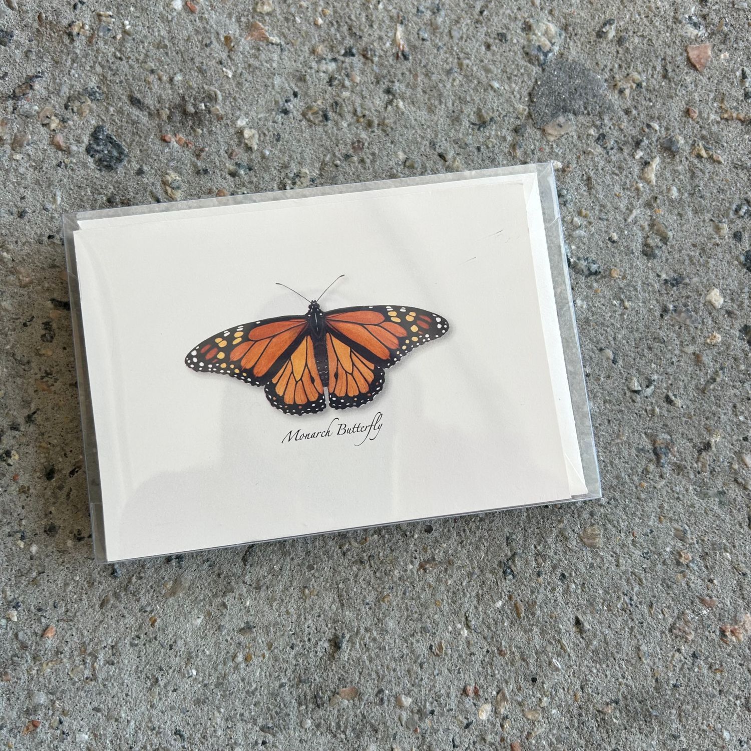 NOTECARD SET MONARCH