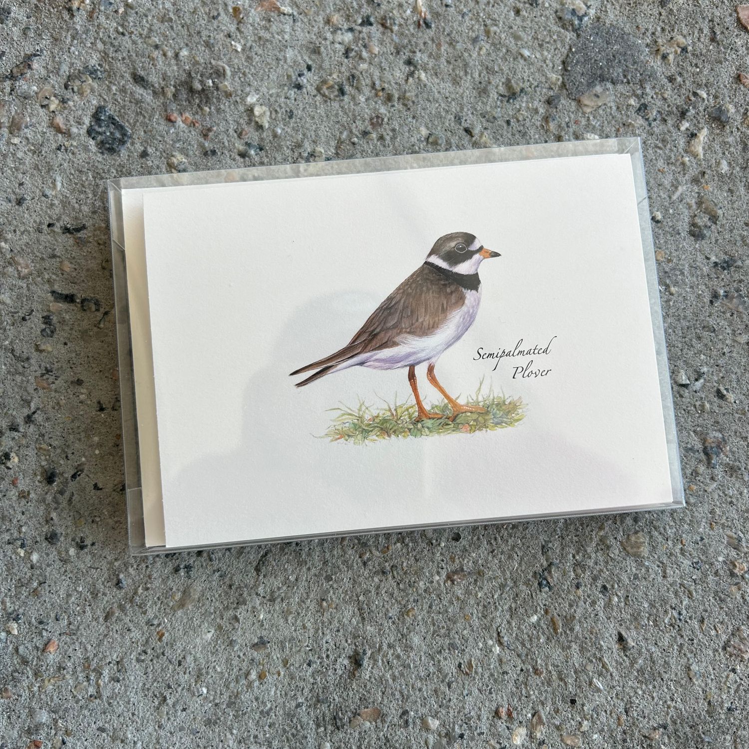 NOTECARD SET SHOREBIRD 2