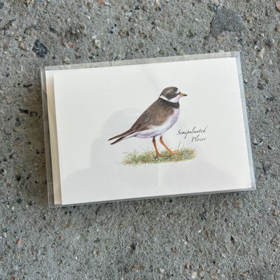 NOTECARD SET SHOREBIRD 2
