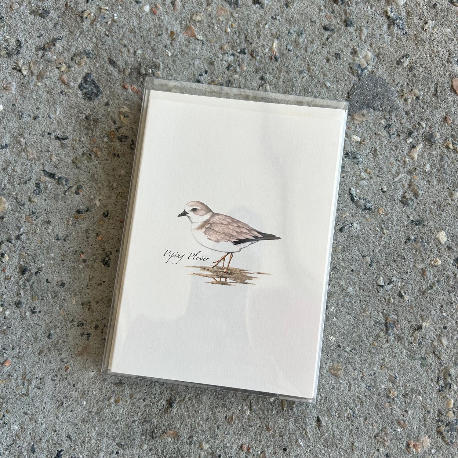 NOTECARD SET SHOREBIRD