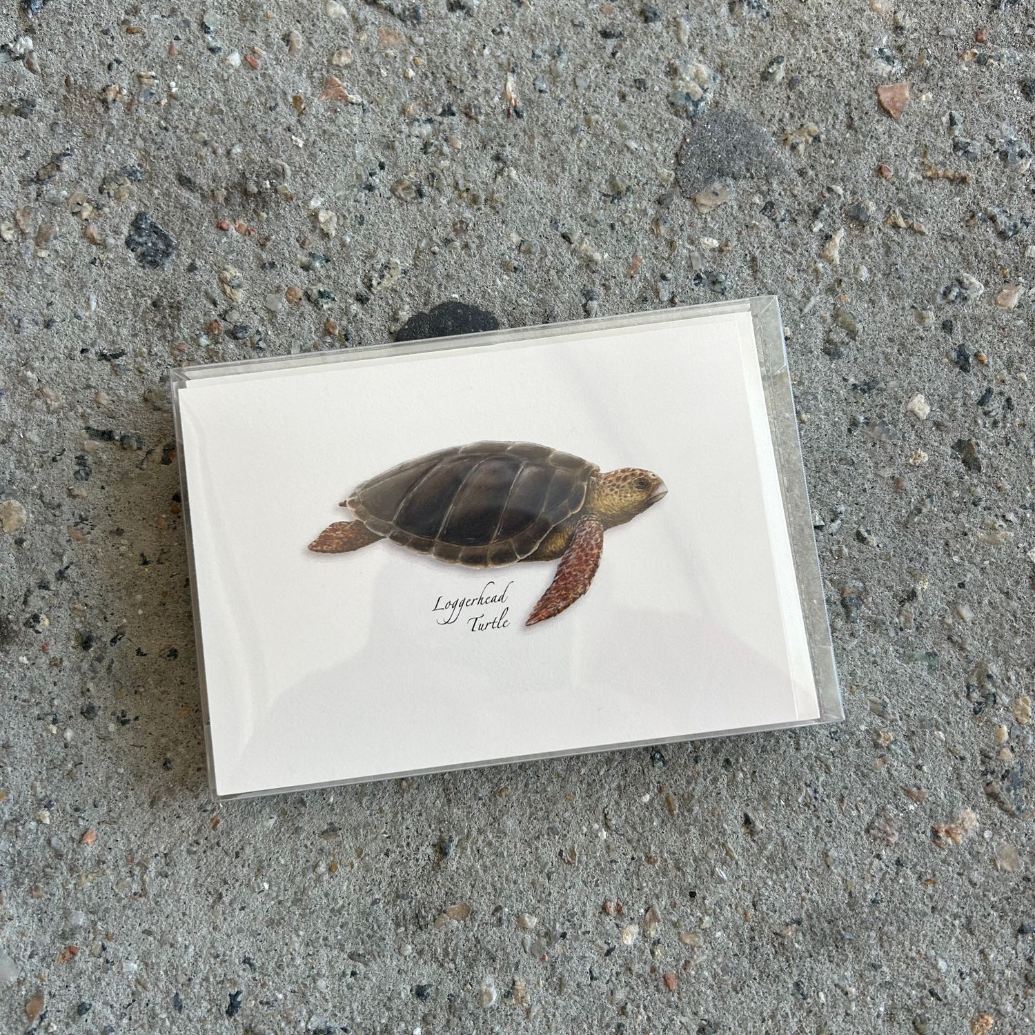 NOTECARD SET SEA TURTLE